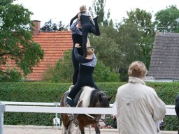 IMG_7984_web